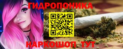 крисы Кимры