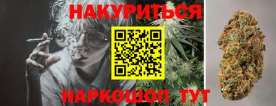 крисы Кимры
