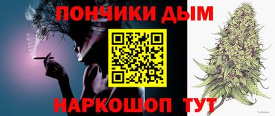 крисы Кимры