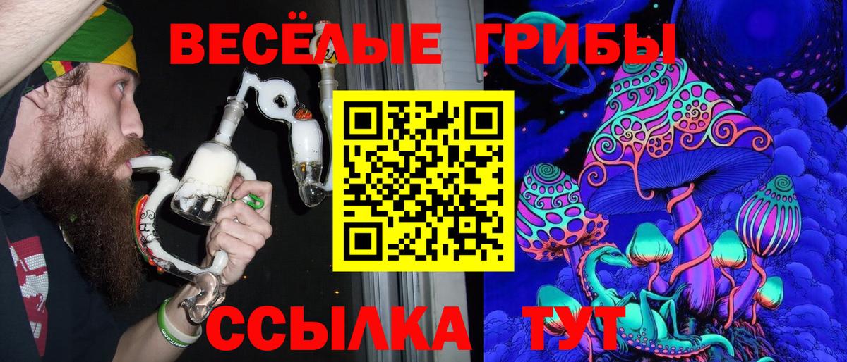 наркотики  Галлюциногенные грибы мухоморы  Псилоцибиновые грибы GOLDEN TEACHER  Вход с VPN  Котельники 